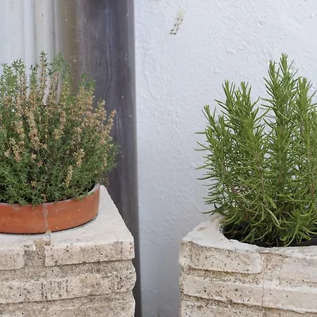 Casa La De Tatil Evi *